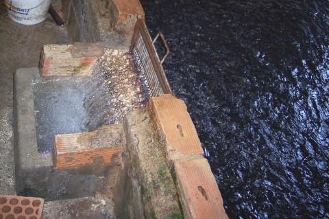 image Rejilla de regulacion de agua en las bañeras de una piscifactoría