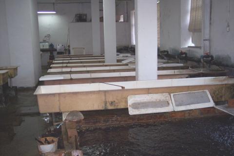 image Bañeras interiores de una piscifactoría