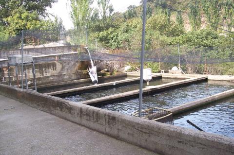 image Red de protección para pájaros en las piscinas de una piscifactoría
