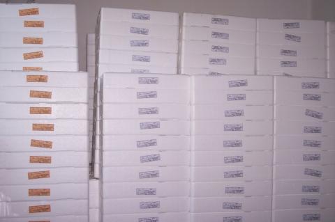 image Envases para el pescado