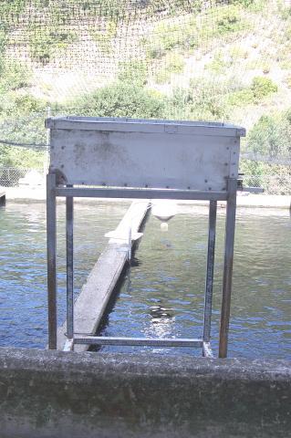 image Clasificador de truchas cerrado