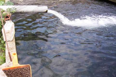 image Entrada de agua en una piscina