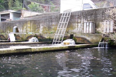 image Piscinas de una piscifactoría llenándose