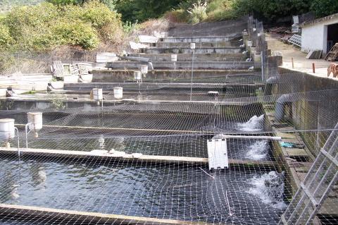 image Piscinas de una piscifactoría