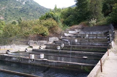 image Piscinas de una piscifactoría