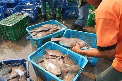 image Pescado, Indonesia
