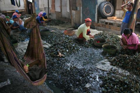 image Limpiando mejillones en Jakarta, Indonesia