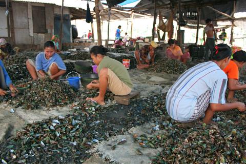 image Limpiando mejillones en Jakarta, Indonesia