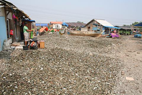 image Calles de conchas en Jakarta, Indonesia