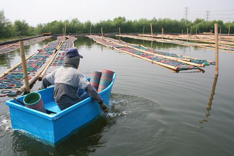 image Piscifactoría en Jakarta, Indonesia