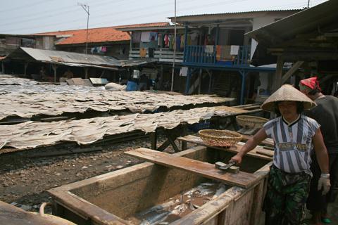 image Secado en el suelo, Jakarta, Indonesia