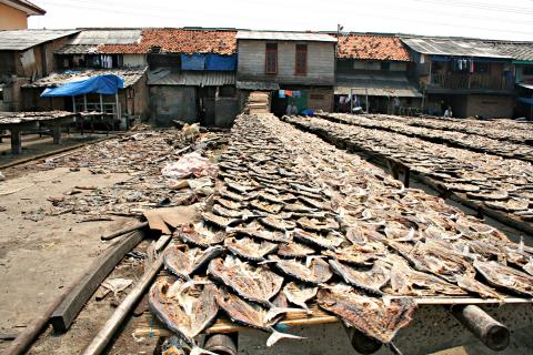 image Secado con salmuera, Jakarta, Indonesia