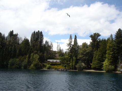 image Isla Victoria, Parque Nacional Nahuel Huapi, Patagonia Andina, Argentina