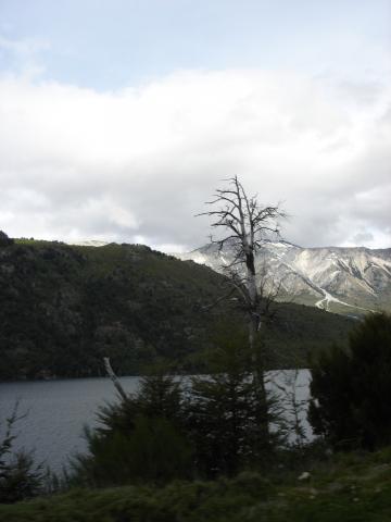 image Río Manso, Provincia de Río Negro, Patagonia Andina, Argentina