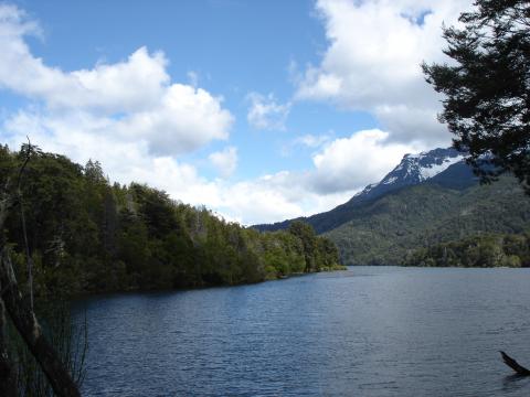 image Río Manso, Provincia de Río Negro, Patagonia Andina, Argentina