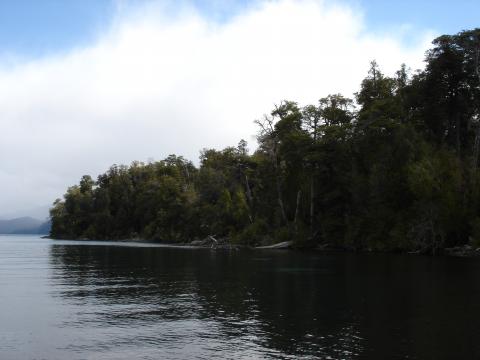 image Parque Nacional los Arrayanes, Neuquén, Argentina