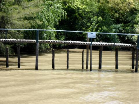 image Puente sobre el delta del Río de la Plata, El Tigre, Buenos Aires, Argentina