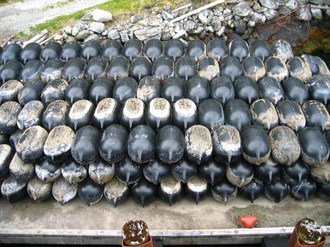 image Leikanger: boyas protectoras para los laterales de los buques, Noruega