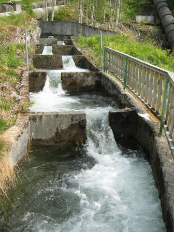 image Aliviadero lateral para permitir el remonte de los salmones, Noruega