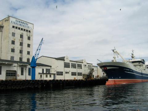 image En Aalesund sigue viva la industria pesquera del arenque, Noruega