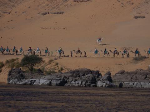 image Paseo en dromedario a orillas del Nilo, Egipto