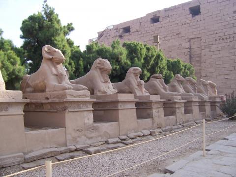 image Avenida de las esfinges, Templo de Karnak, Egipto