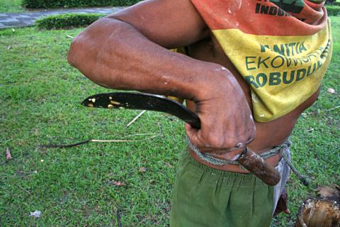 image Recolector de vino de Palma, Jogyakarta, Indonesia