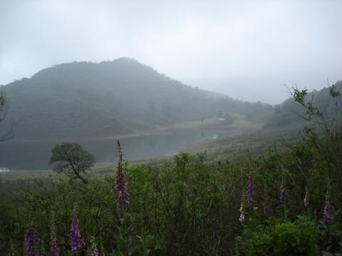 image Lagunas de Yala, Jujuy, Argentina
