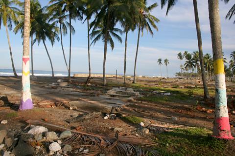 image Zócalos de casas y palmeras pintadas de Melaboh, Sumatra, Indonesia