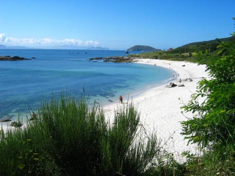 image Playa Area dos Cans, de la Isla de Ons, Pontevedra