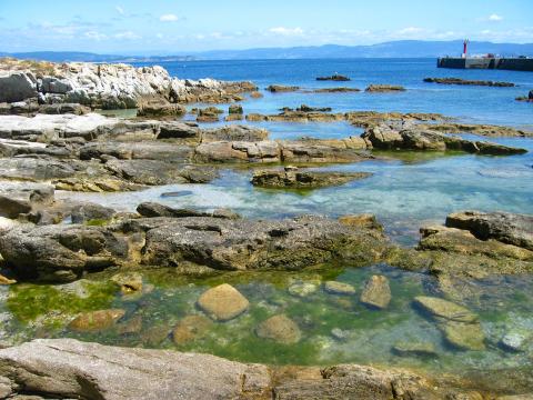 image Punta do Castelo, Isla de Ons, Pontevedra