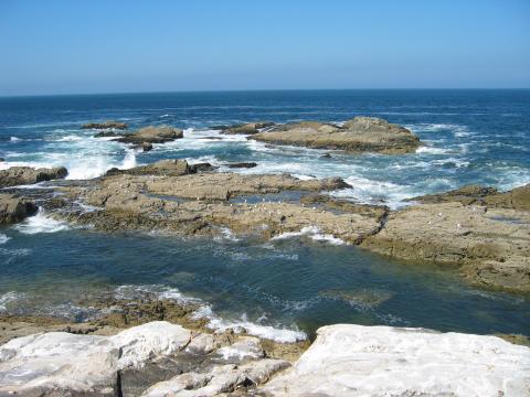 image Punta do Rabo da Egua, en la Isla de Ons, Pontevedra