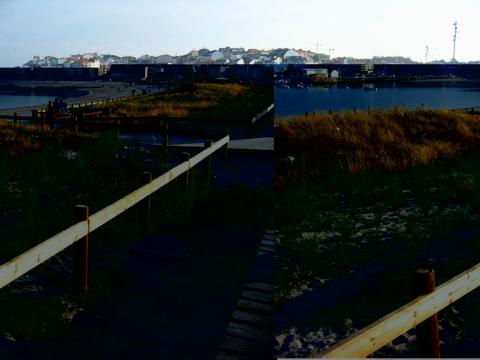 image Reforestacion de dunas en la Playa de Baltar, Portonovo, Pontevedra