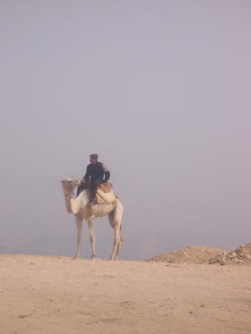 image Policía en dromedario, Egipto