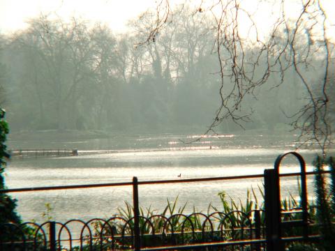 image Lago en el Parque Cheswick, Londres