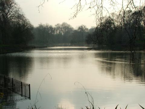 image Lago en el Parque Cheswick, Londres, Reino Unido