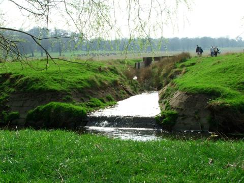 image Cascada artificial en Richmond Park, Londres, Reino Unido
