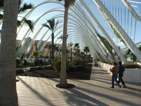 image Pabellón cubierto, CAC, Valencia