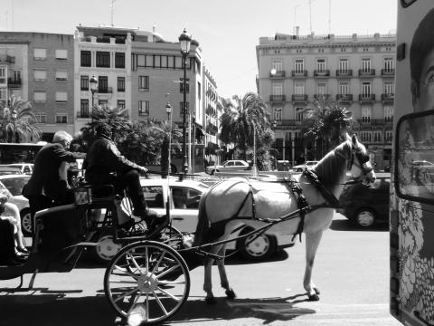 image Coche de caballos, Valencia