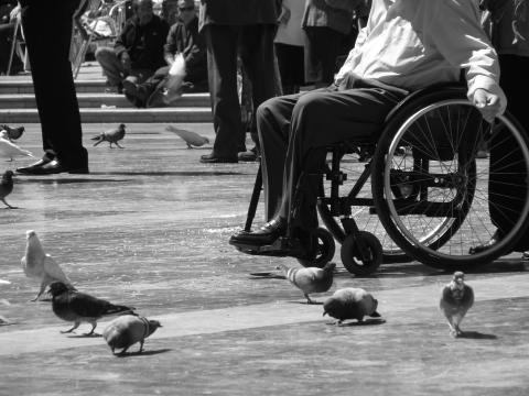image Hombre en silla de ruedas alimentando a las palomas