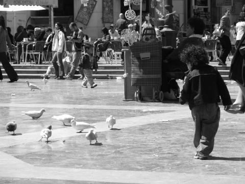 image Alimentando a las palomas