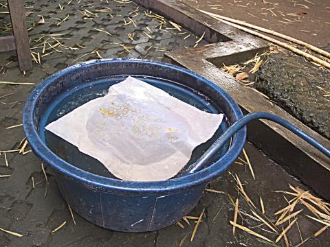 image Lavado para la elaboración del batik, Jakarta, Java, Indonesia