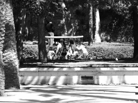 image Bicicleta familiar, Cauce del Turia, Valencia