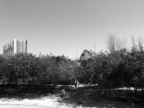 image Entrada al Gulliver, Cauce del Turia, Valencia