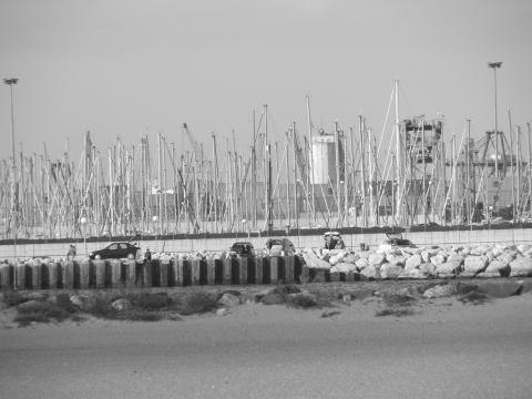 image Mástiles de los barcos del puerto de Pinedo, Valencia
