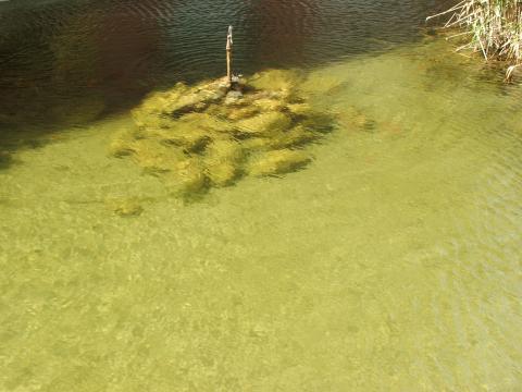 image Fuente de Port SaPlaya, Alboraya Valencia, Comunidad Valenciana