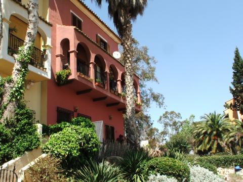 image Vegetación en un urbanización de Port SaPlaya, Alboraya, Valencia, Comunidad Valenciana