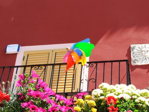 image Molinillo de viento