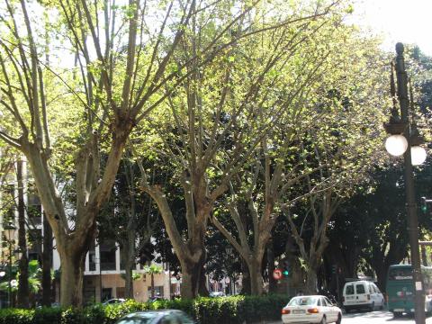 image Calle Gran Vía de Valencia, Comunidad Valenciana