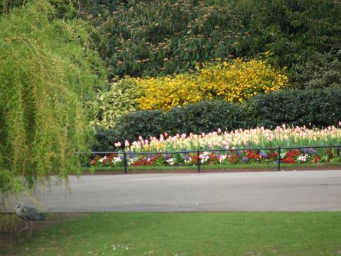 image Paseo en Regent's Park, Londres, Reino Unido